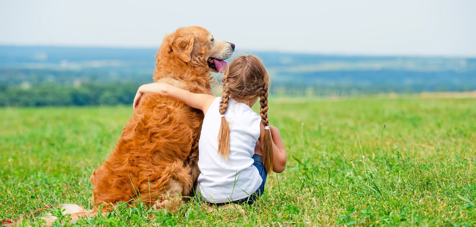 Tu veterinario de confianza